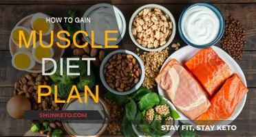 Muscle Gain Diet: Fueling Your Body for Growth