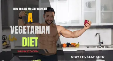 Vegetarian Diet for Muscle Gain: What to Eat