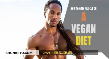 Vegan Muscle Gain: Fueling Your Body for Growth