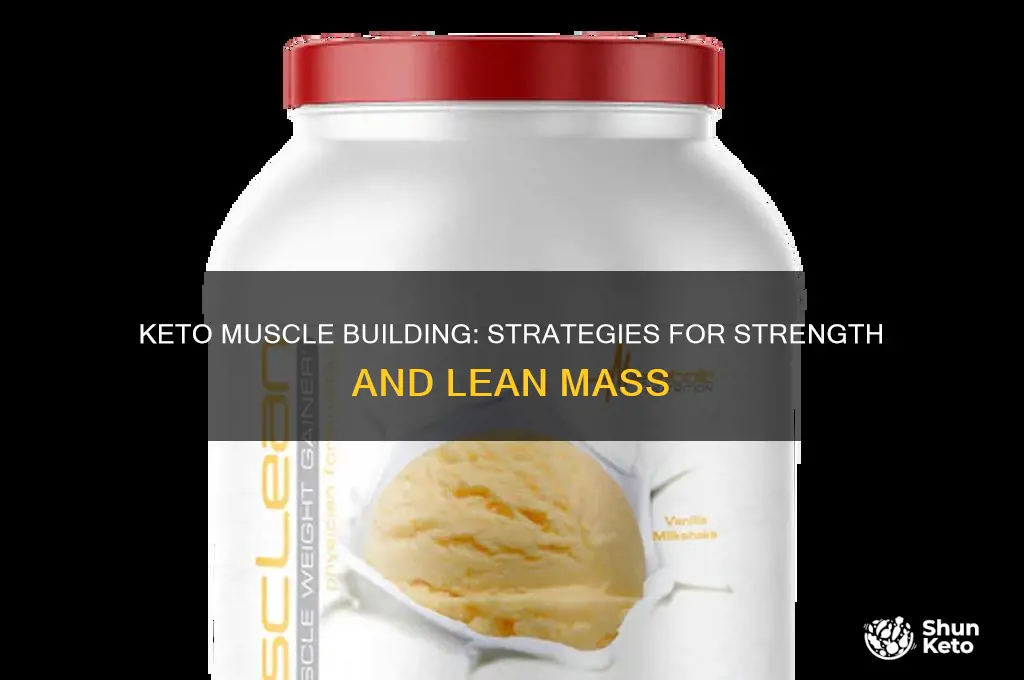 how to gain muscle while eating keto