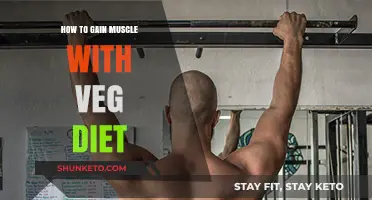 Building Muscle on a Vegan Diet: What You Need to Know
