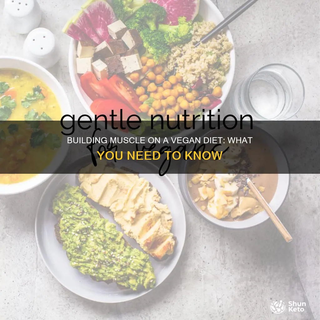 how to gain muscle with veg diet
