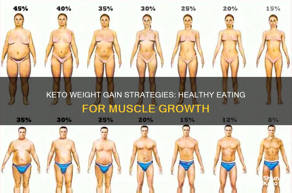 how to gain weight eating keto