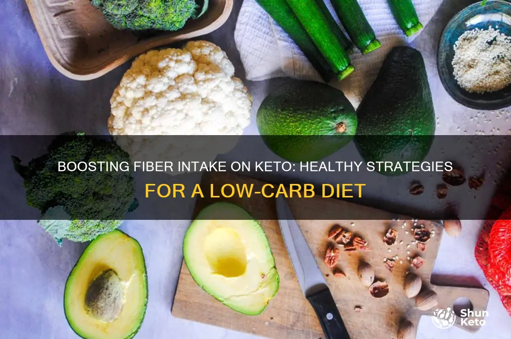 how to get aoluablw fiber on keto diet