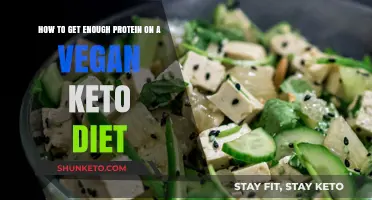 Vegan Keto Protein Guide: High-Fat, Plant-Based Sources to Thrive