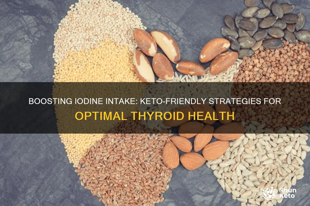 how to get iodine on a keto diet