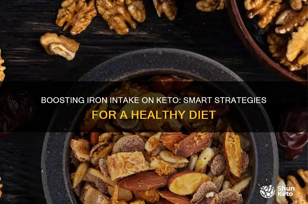 how to get iron on a keto diet