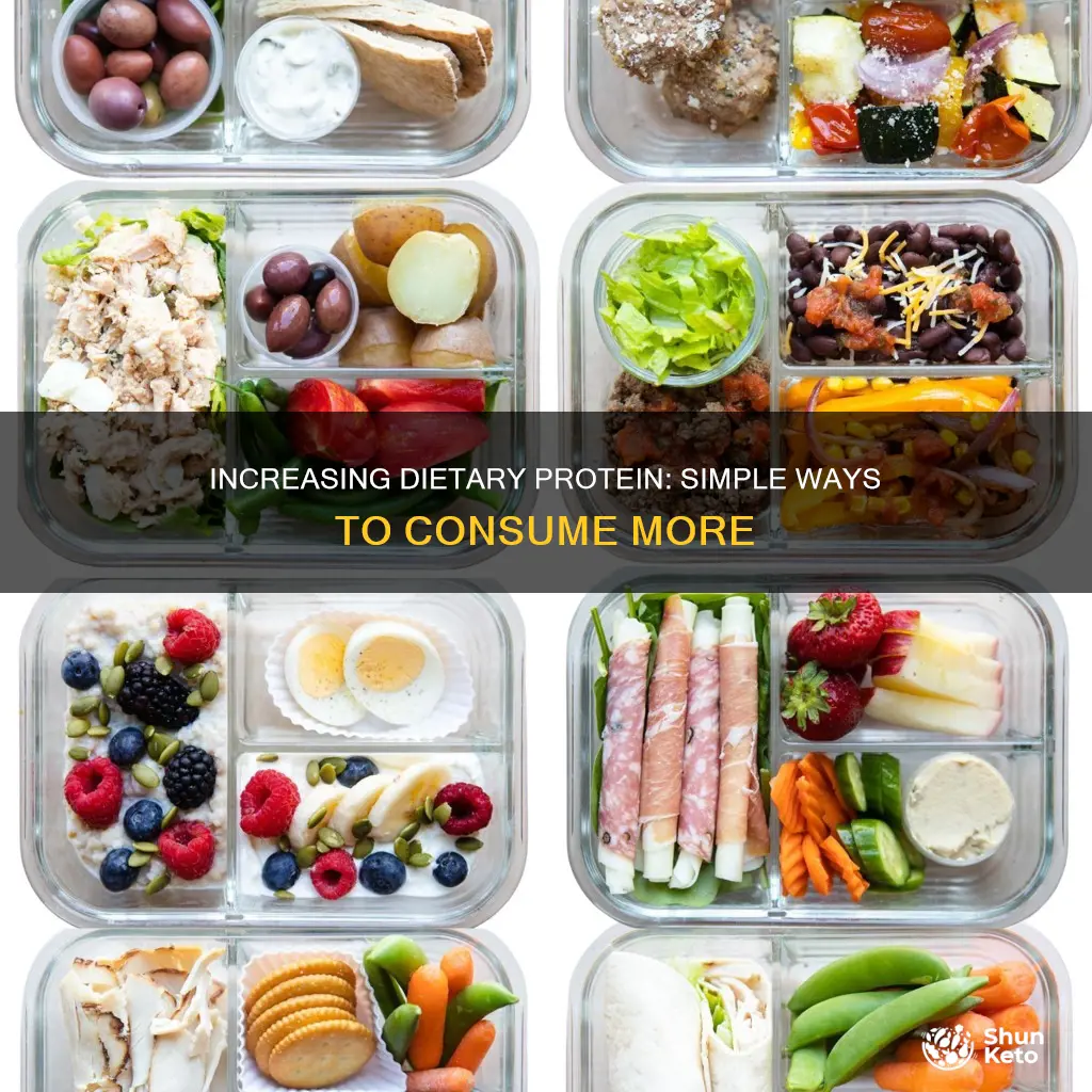 how to getmore protein in diet