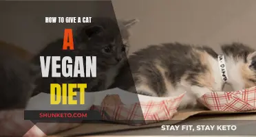 Vegan Cat Diet: Healthy, Happy, and Meat-Free