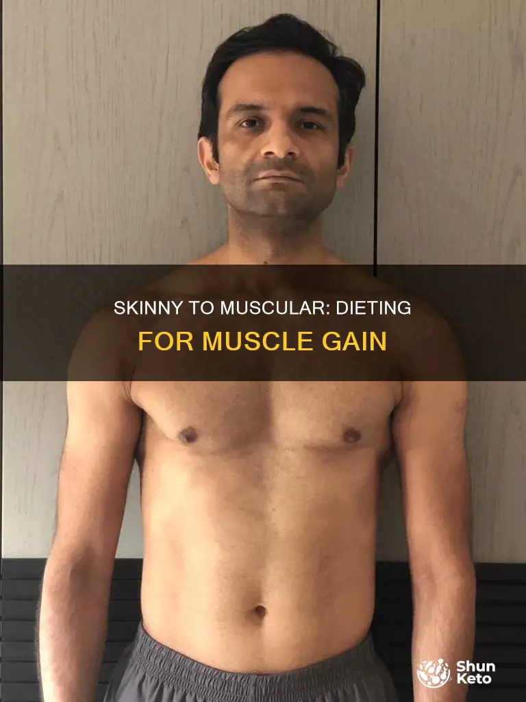 how to go from skinny to muscular diet