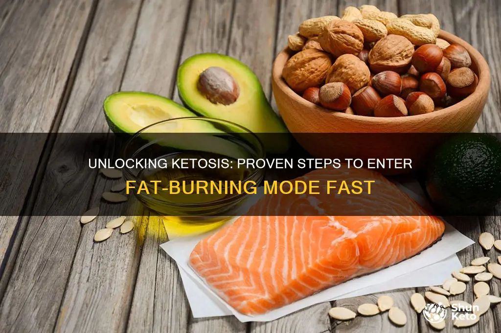 how to go into ketosis