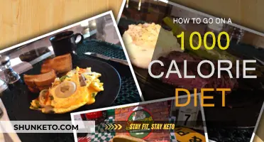 Calorie-Controlled Eating: A Guide to 1000 Calorie Dieting