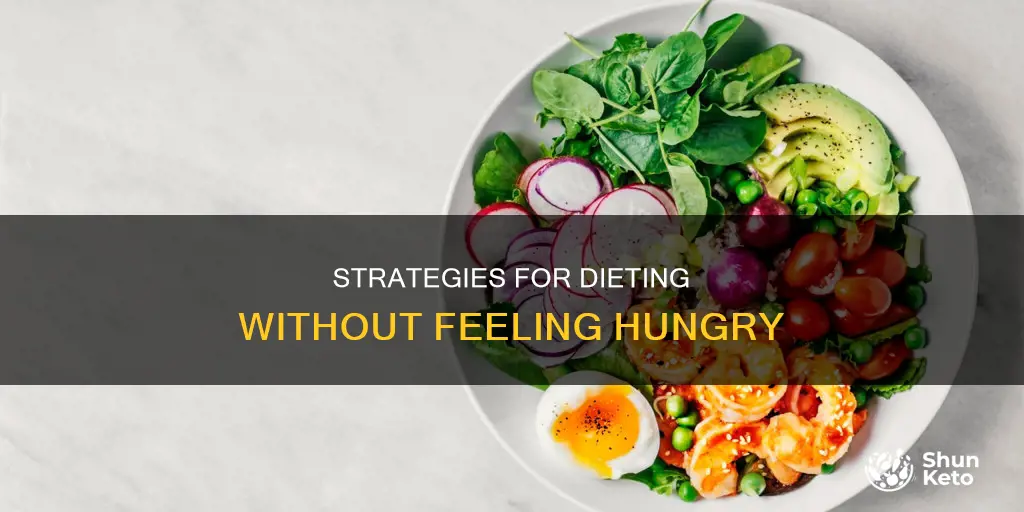 how to go on a diet and not be hungry
