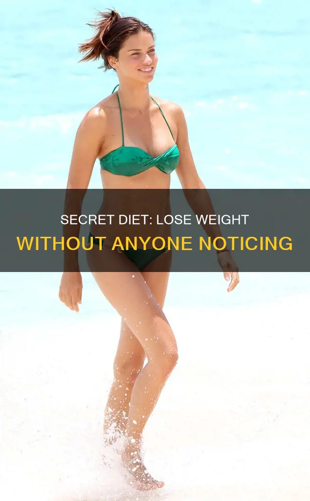how to go on a secret diet