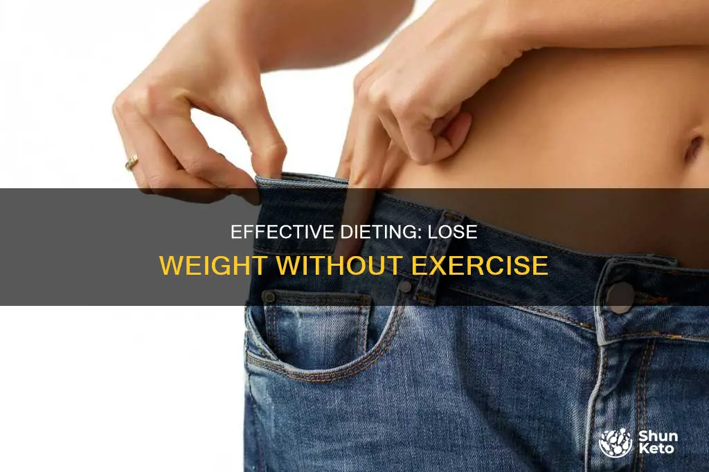 how to go on diet without exercise