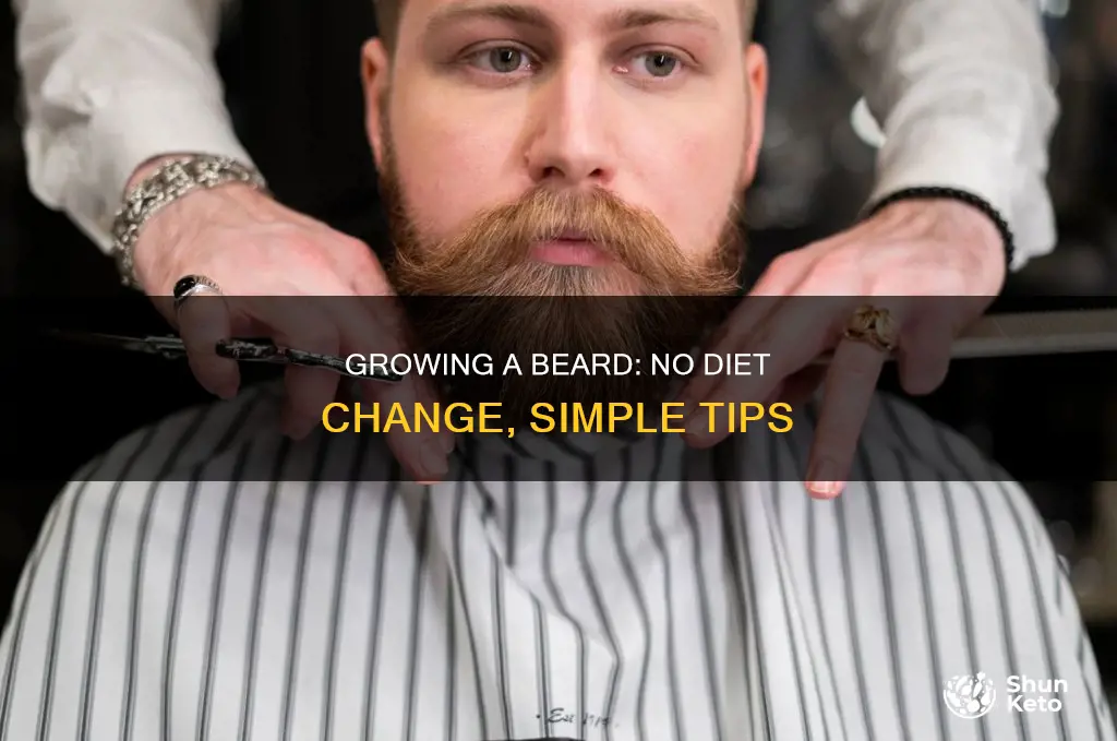 how to grow a beard without changing diet