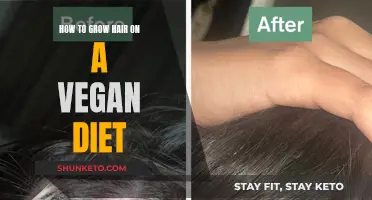 Vegan Diet for Hair Growth: What to Eat?