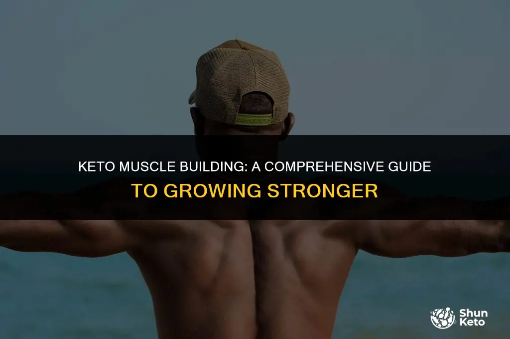 how to grow muscle on keto