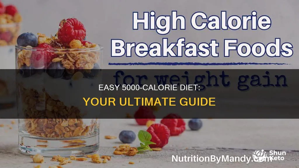 how to have a 5000 calorie diet easy