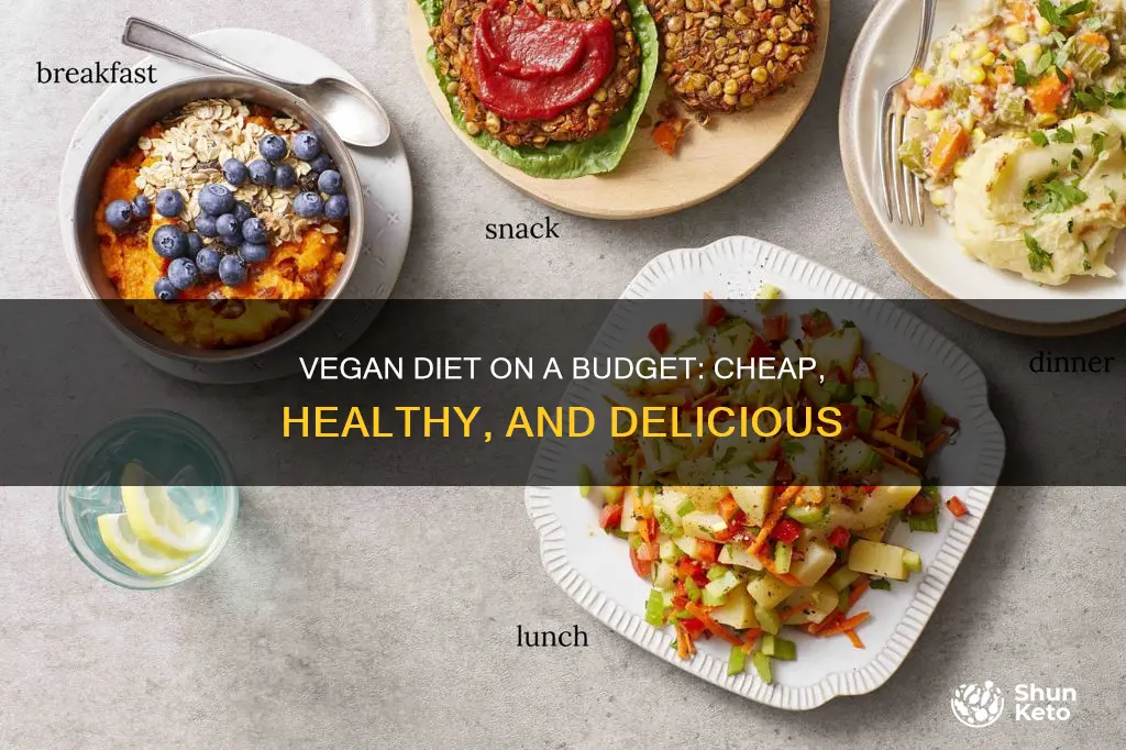 how to have a cheap vegan diet