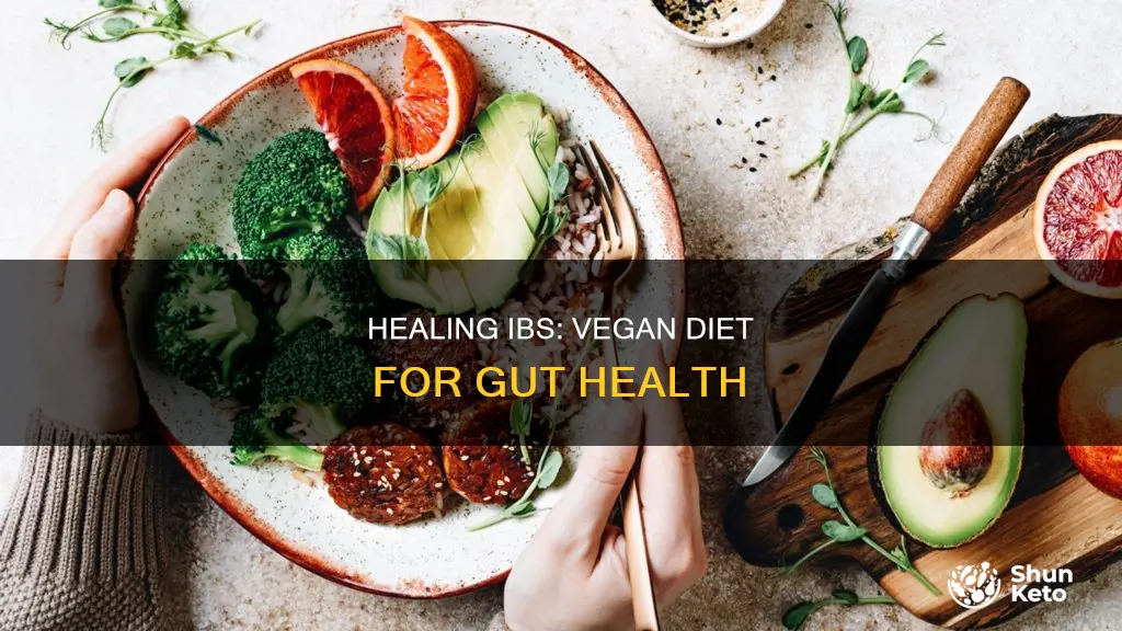 how to heal ibs with a vegan diet