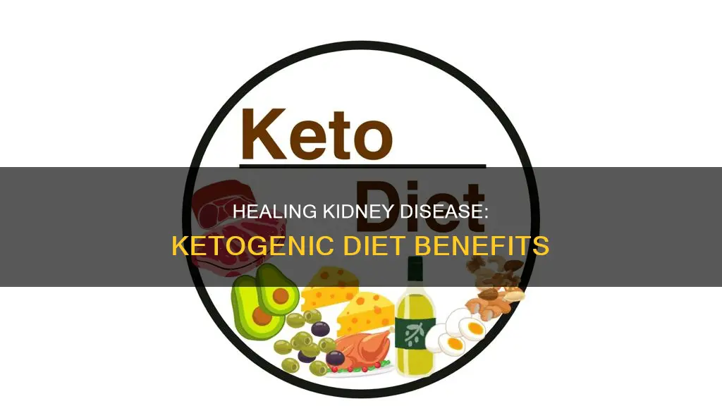 how to heal kidney disease with ketogenic diet