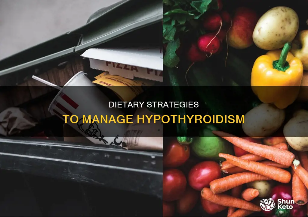 how to help hypothyroidism with diet