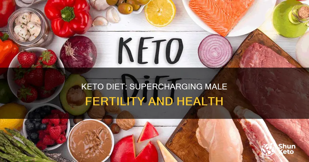 how to help male fertility with keto