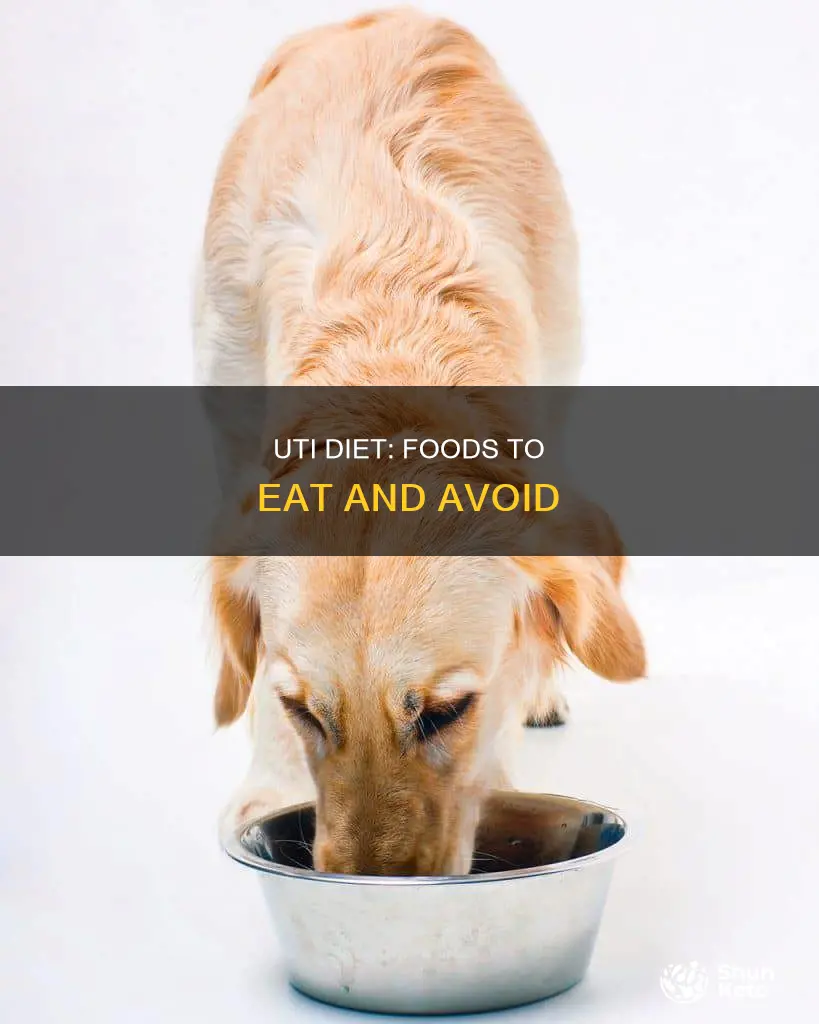 how to help with a uti diet
