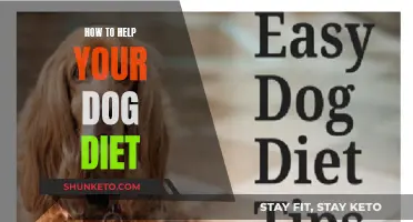Helping Your Dog Diet: A Guide for Pet Owners