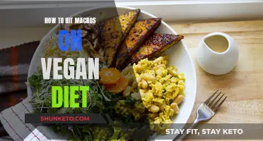 Vegan Diet Macros: Hitting Your Targets, Staying on Track