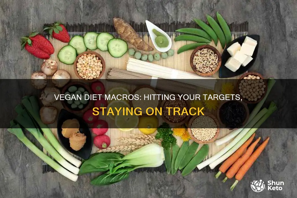 how to hit macros on vegan diet