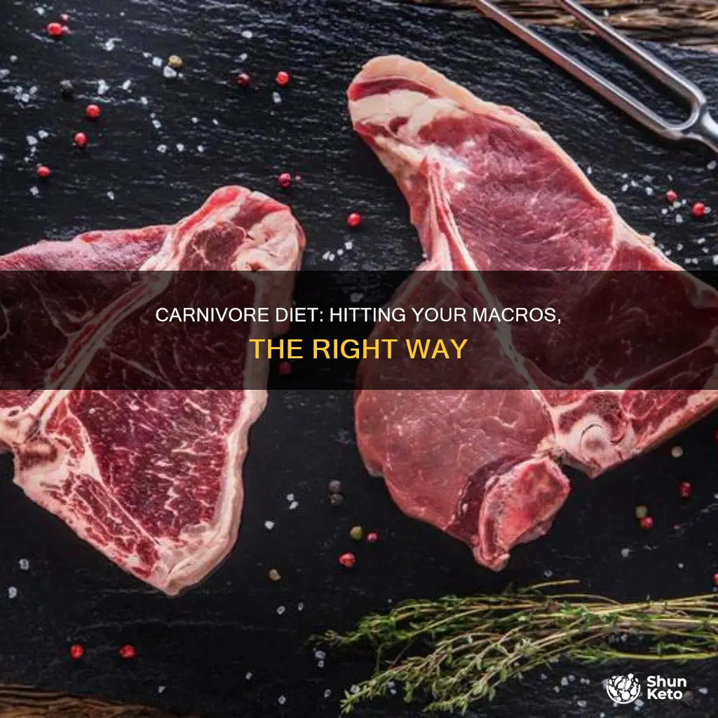 how to hit your macros on carnivore diet