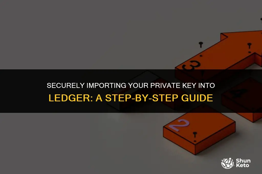 how to import private ket into ledger