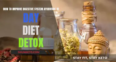 Enhancing Digestion: 10-Day Ayurvedic Detox Diet