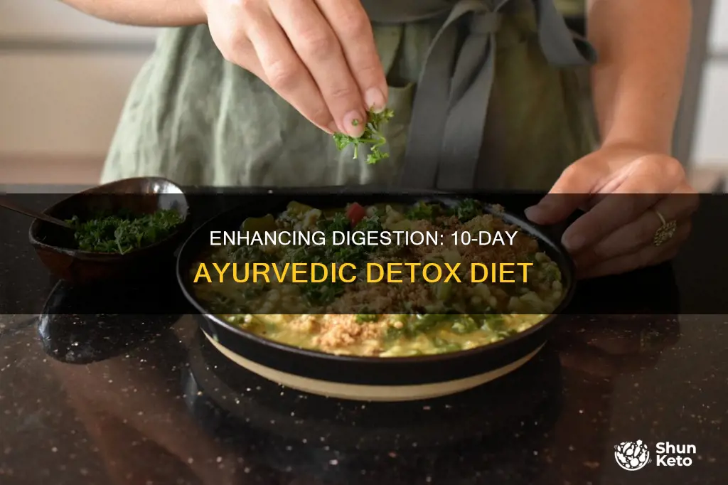 how to improve digestive system ayurvedic 10 day diet detox