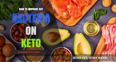 Boosting Gut Health: A Keto Diet Guide for Better Bacteria Balance