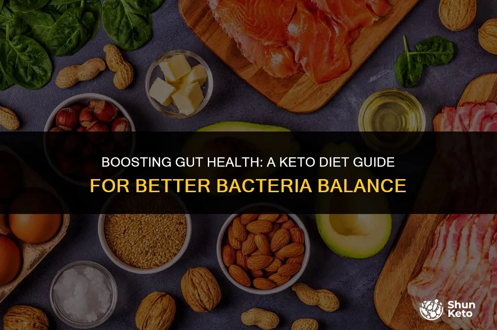 how to improve gut bacteria on keto