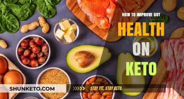Boosting Gut Health on Keto: A Comprehensive Guide
