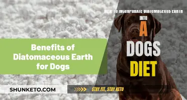 Diatomaceous Earth: A Healthy Addition to Your Dog's Diet