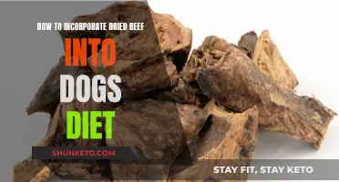 Dried Beef: A Healthy, Tasty Treat for Your Dog?