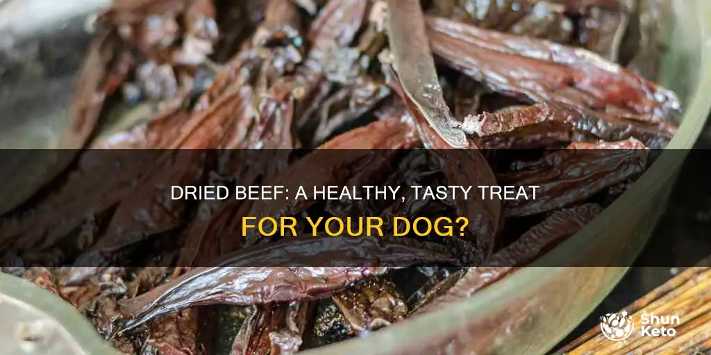how to incorporate dried beef into dogs diet