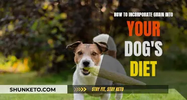 Grain in Dog Diets: What, Why, and How?
