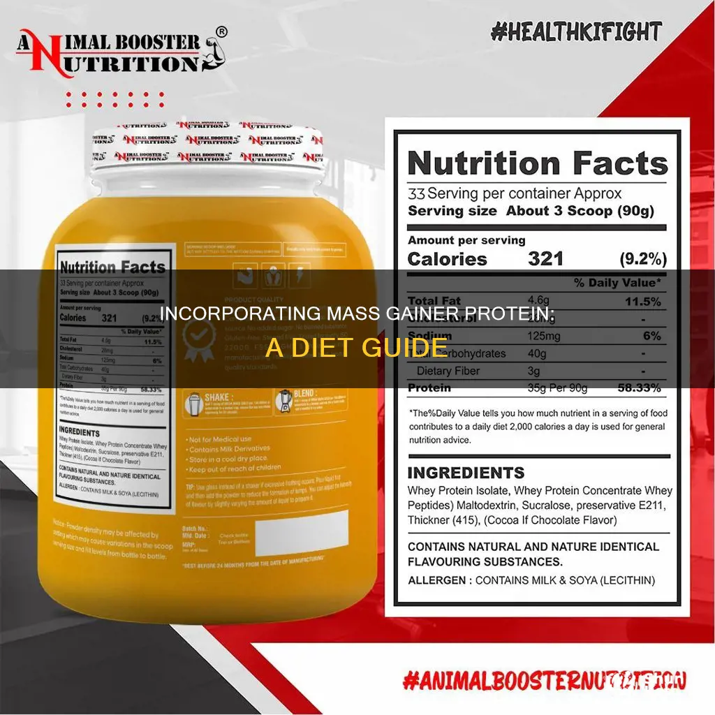 how to incorporate mass gainer protein in diet