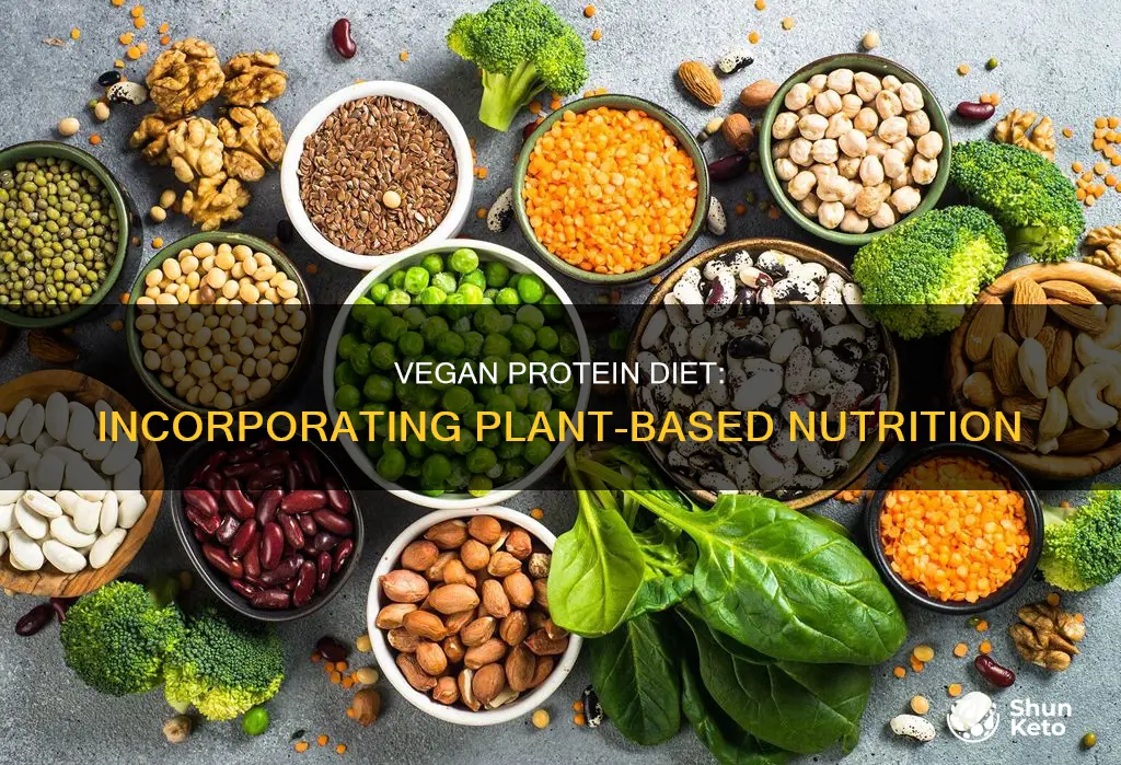 how to incorporate vegan diet into normal protein diet