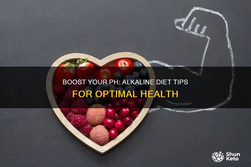 how to increase alkaline in your diet