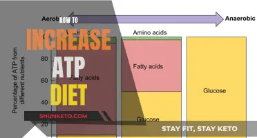 Boost Your Energy: The Ultimate Guide to an ATP-Rich Diet