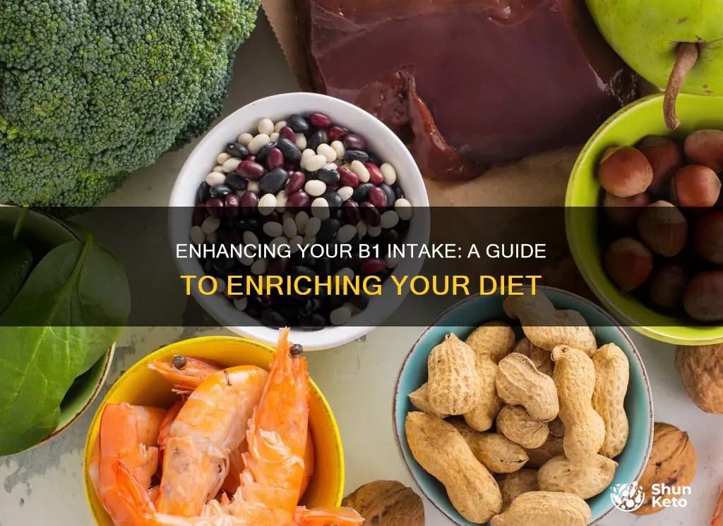 how to increase b 1 in your diet