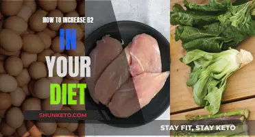 Boosting B2 Intake: Simple Ways to Add More to Your Diet