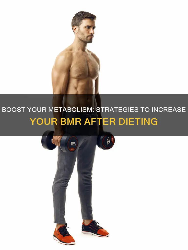 how to increase bmr after dieting